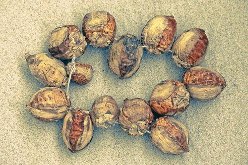 嚼槟榔吃哈密瓜可以吗视频,嚼槟榔吃哈密瓜的体验分享