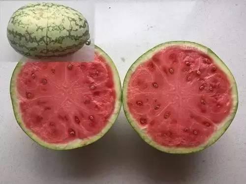 科学防晒吃瓜视频,科学吃瓜，轻松抵御紫外线