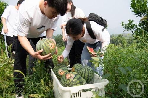 重庆黔江吃瓜事件视频,一场引发热议的街头冲突