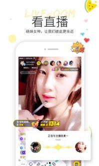 吃瓜牙疼的视频大全集播放,视频大全集精彩瞬间回顾