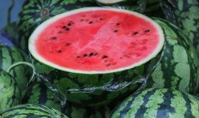 春节吃瓜记的视频,揭秘传统习俗中的趣味与智慧