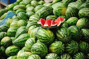 地库吃瓜视频素材网站,热门视频素材网站深度解析