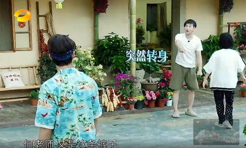 经典吃瓜事件真相视频,真相视频背后的惊人内幕