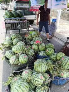 峄城吃瓜事件视频曝光,视频曝光揭示惊人真相