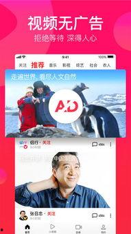 吃瓜文案配音视频下载,揭秘热门配音视频背后的吃瓜故事