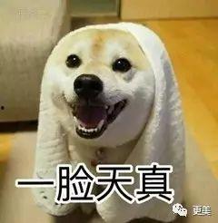 楼下吵架打架吃瓜视频,一场楼下的吵架打架事件引发的吃瓜热潮