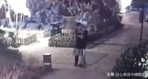 衢州吃瓜事件视频曝光,一场引发热议的网络风波