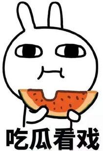 吃瓜吐槽专用视频大全,揭秘热门视频背后的笑料与真相