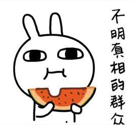 做梦吃瓜搞笑视频文案,笑料横生的吃瓜搞笑视频大揭秘