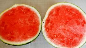 介介吃瓜视频,带你领略网络热点的魅力与真相