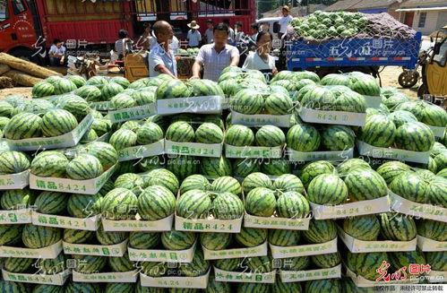 夏邑吃瓜新闻报道视频,揭秘当地特色美食背后的故事