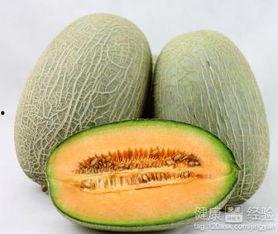 海边吃哈密瓜好吗视频讲解,海边享用哈密瓜的甜蜜体验解析