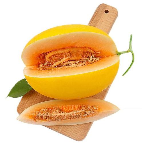 吃蜜瓜视频完整版,揭秘吃蜜瓜视频完整版中的甜蜜诱惑