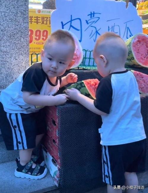 双胞胎大型吃瓜视频,揭秘幕后真相与趣味瞬间