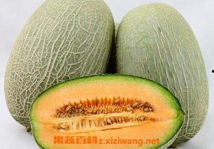 如何邀请人吃哈密瓜呢视频,轻松邀请好友共享哈密瓜美味攻略